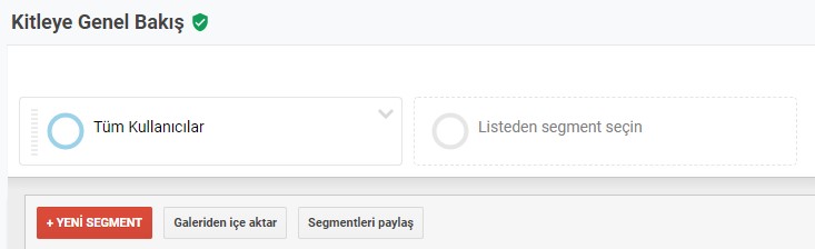 Google Analytics Kullanıcı Segmentasyonu