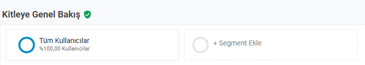 Google Analytics Kullanıcı Segmentasyonu