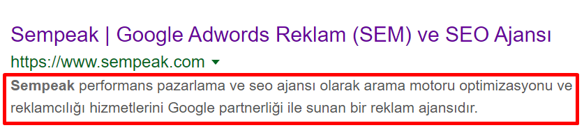 Yeni Başlayanlar İçin 8 Adımda SEO Başlangıç Rehberi