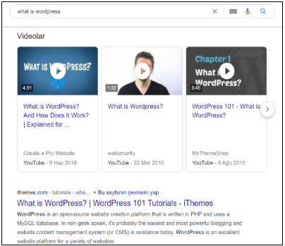 video schema mark up