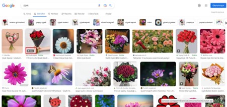google-cicek-gorsel-aramasi google çiçek görseli araması