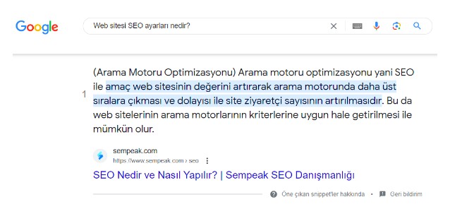 web-sitesi-seo-ayarlari-nedir