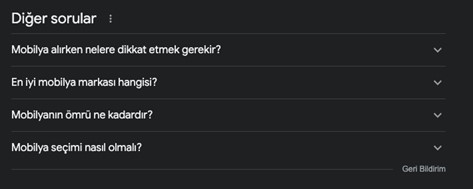 google-serp-diger-sorular